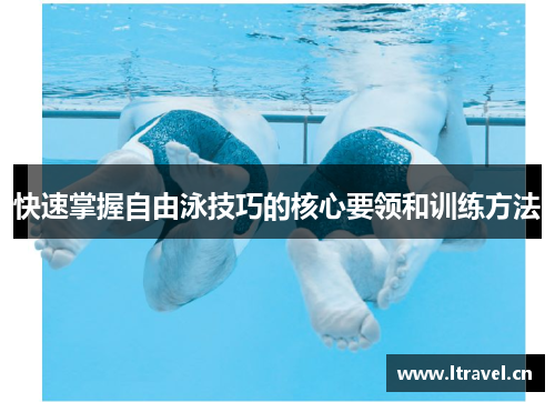 快速掌握自由泳技巧的核心要领和训练方法