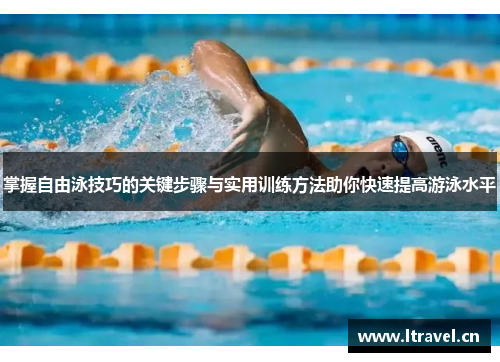 掌握自由泳技巧的关键步骤与实用训练方法助你快速提高游泳水平
